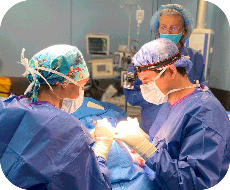 Equipo en operación Clinica Dr. Cruz Gimeno